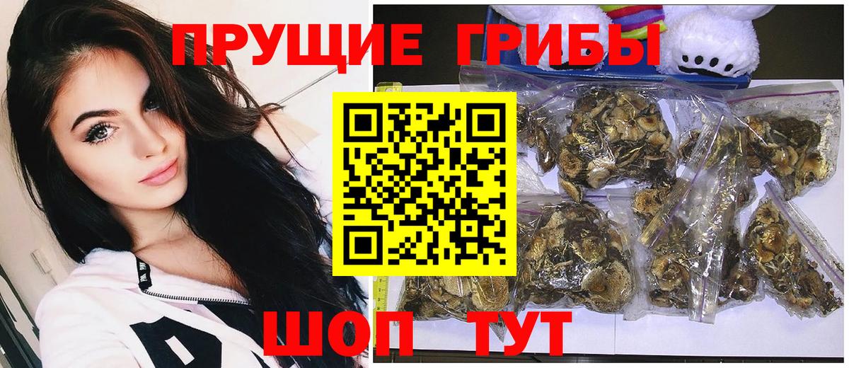 Галлюциногенные грибы ЛСД Якутск