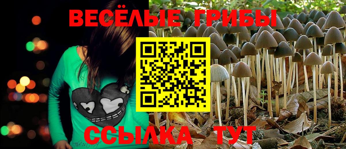 Псилоцибиновые грибы мухоморы  Вход с VPN  Якутск 